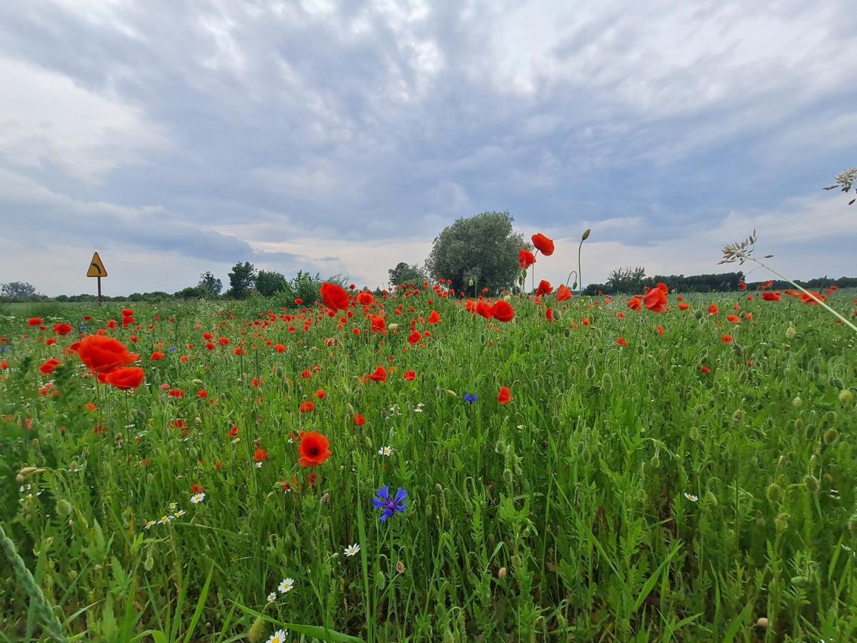 Siedlisko Jozefka Villa Zarobka ภายนอก รูปภาพ