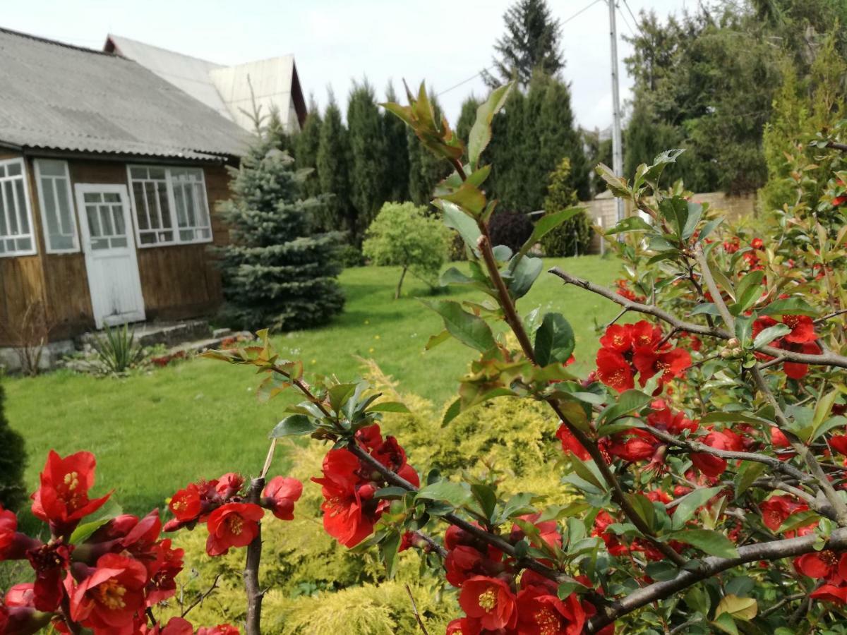Siedlisko Jozefka Villa Zarobka ภายนอก รูปภาพ